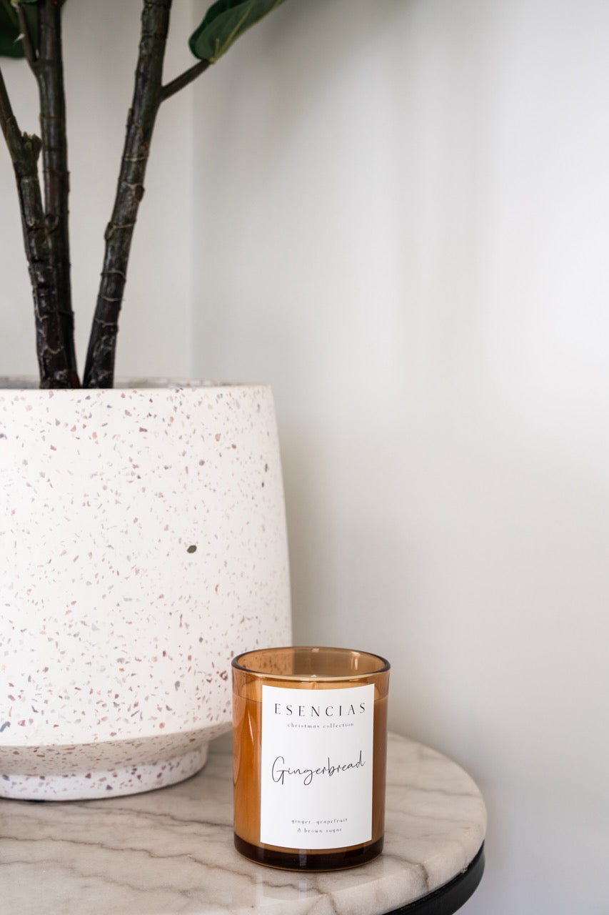 Christmas Range Gingerbread styled on side table and plant. 