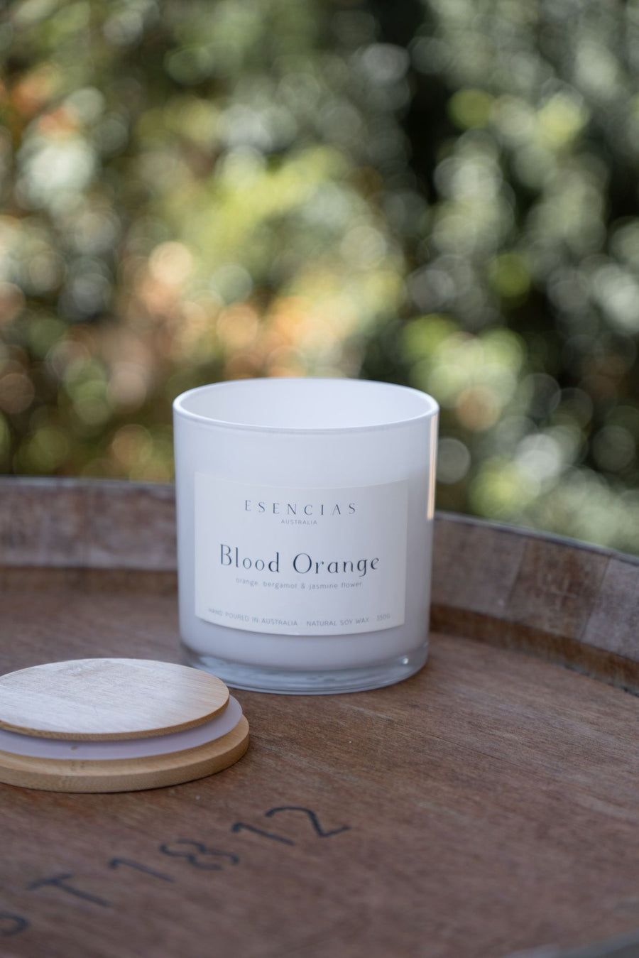 Blood Orange candle from Coastal Collection photographed outdoors 