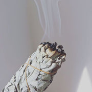 White sage smudge stick for cleansing and purification. 
